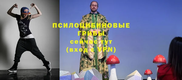 твердый Алзамай