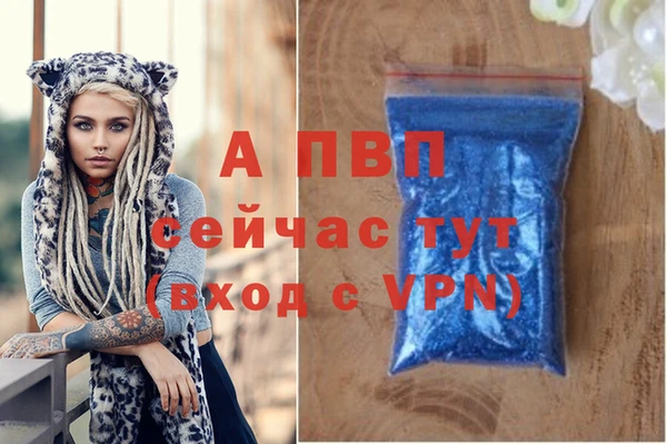 a pvp Алексин