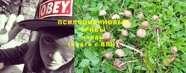 a pvp Алексин