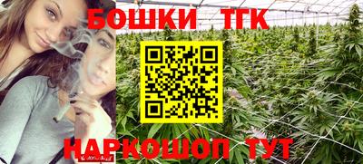 индика Первоуральск