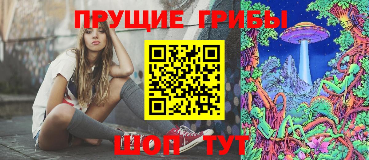 Осинники  Галлюциногенные грибы Psilocybine cubensis  Вход с VPN  Галлюциногенные грибы прущие грибы 