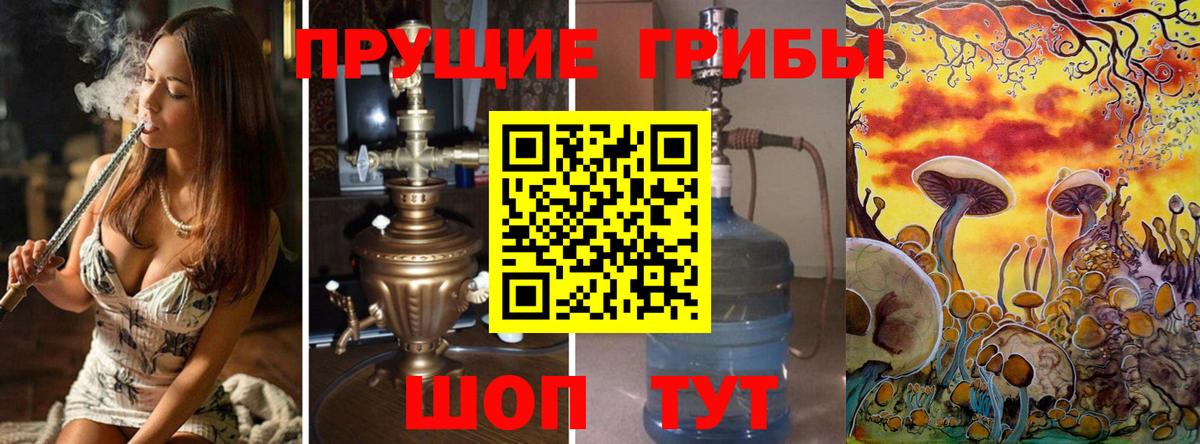 Псилоцибиновые грибы Psilocybe Осинники
